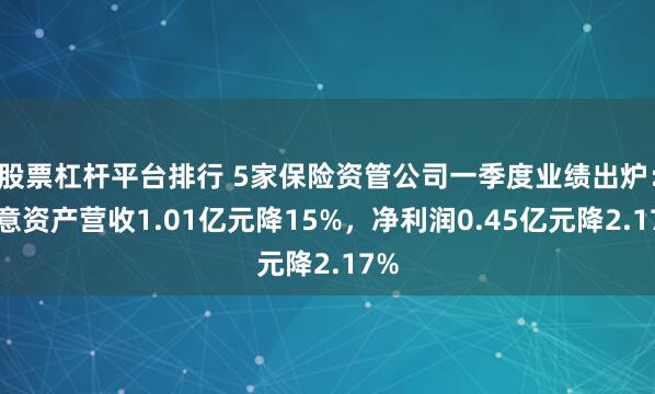 股票杠杆平台排行 5家保险资管公司一季度业绩出炉：中意资产营收1.01亿元降15%，净利润0.45亿元降2.17%