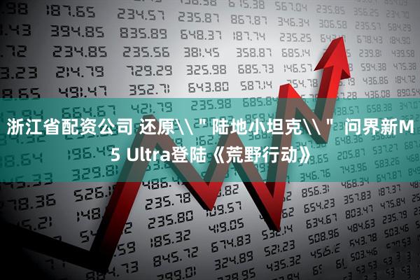 浙江省配资公司 还原\＂陆地小坦克\＂ 问界新M5 Ultra登陆《荒野行动》